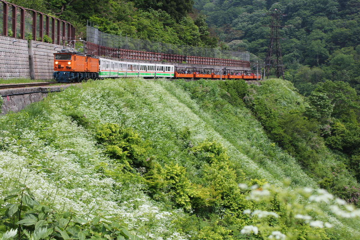 黒部峡谷鉄道